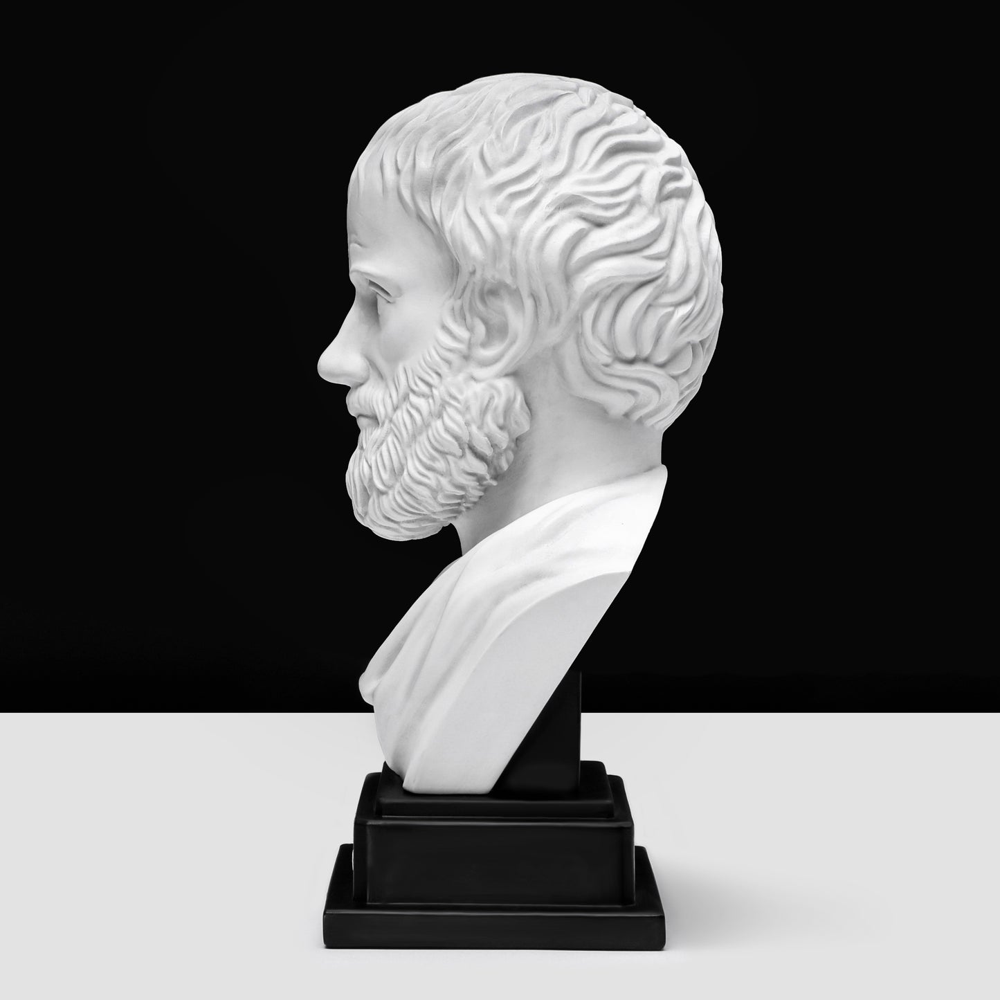 Aristotle