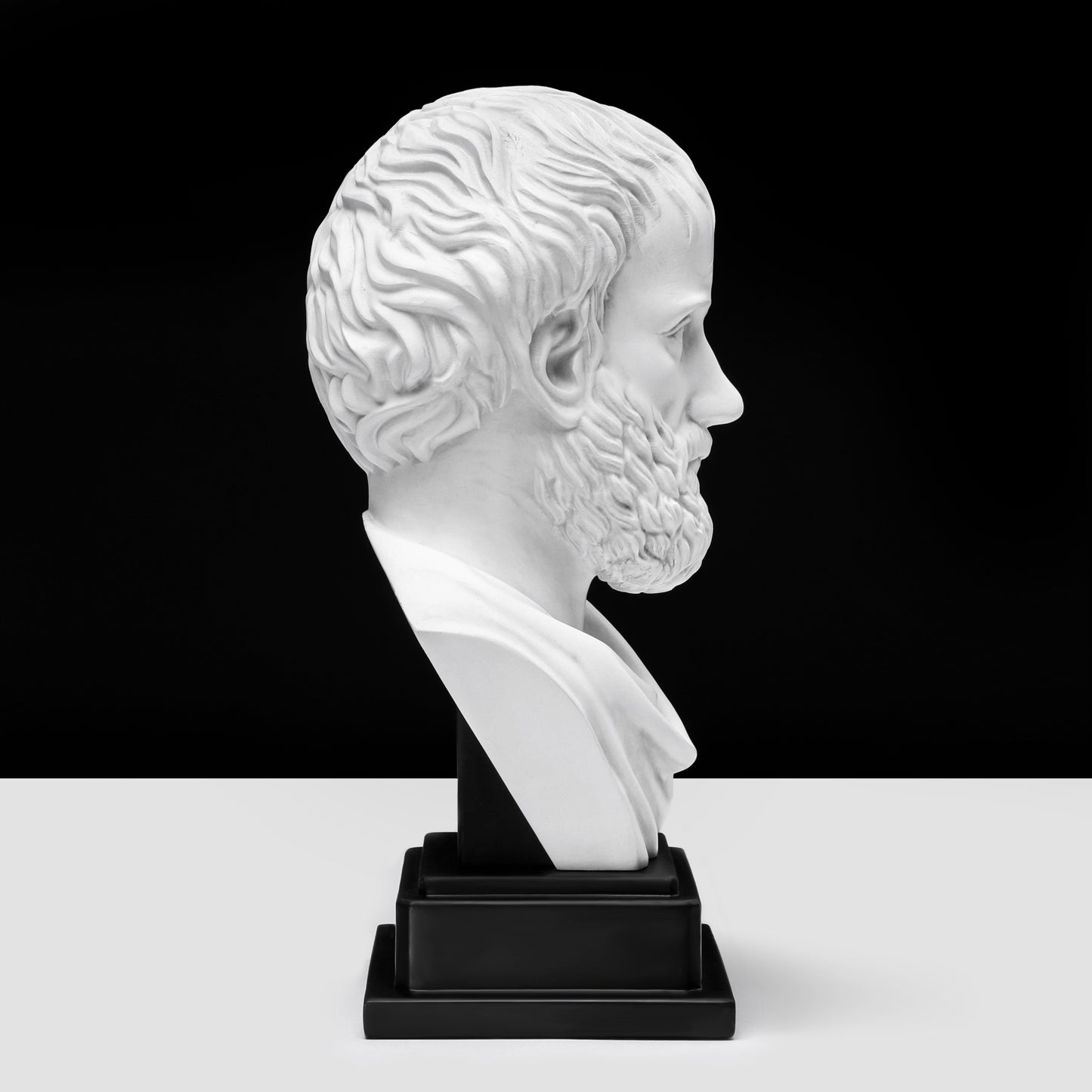 Aristotle