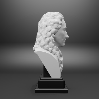 White bust on a black pedestal against a gray background