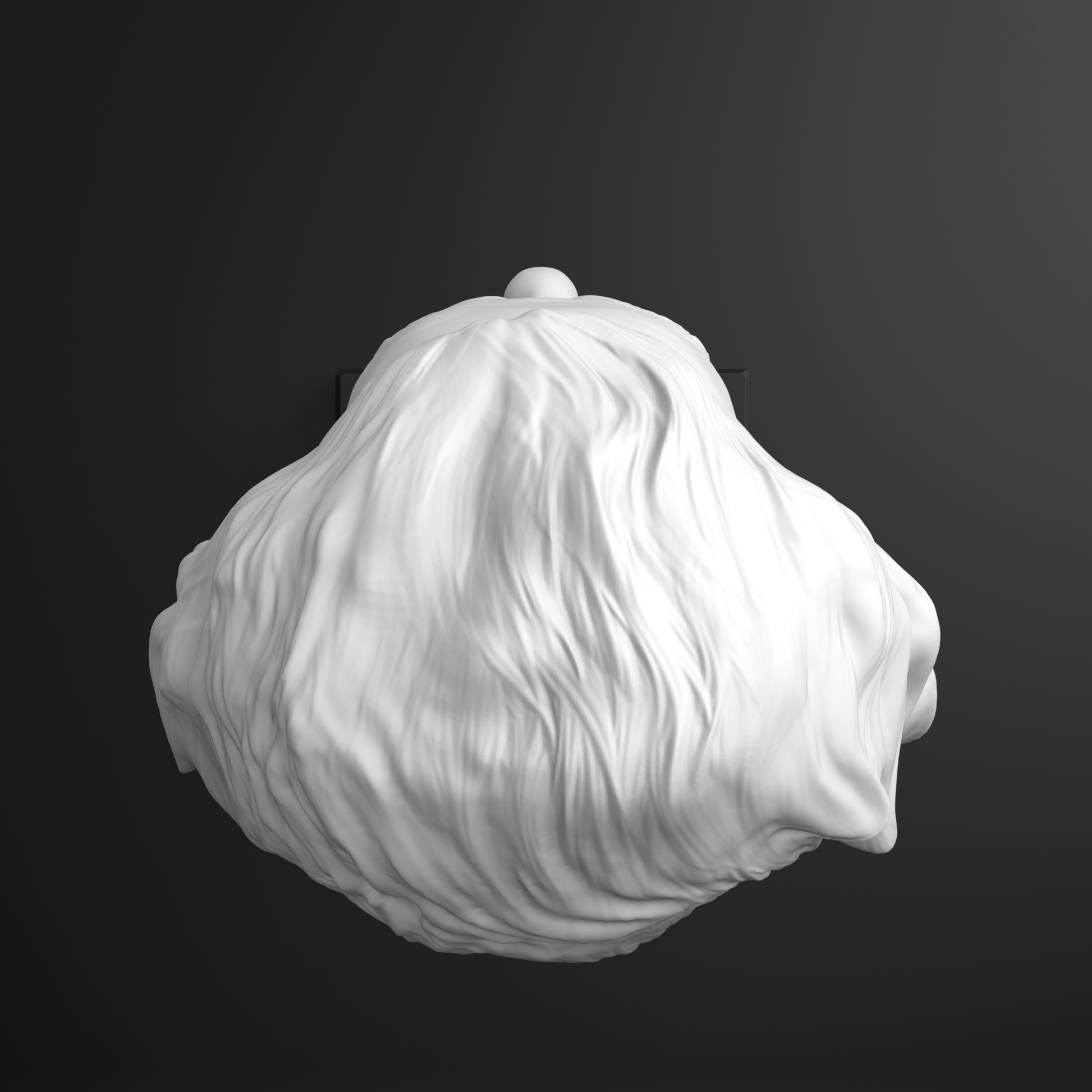 White sculpture of a head with hair on a black background