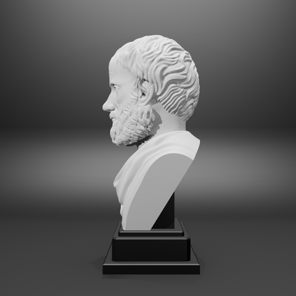 White bust of a classical figure on a gray background