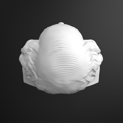 White bust top view hair