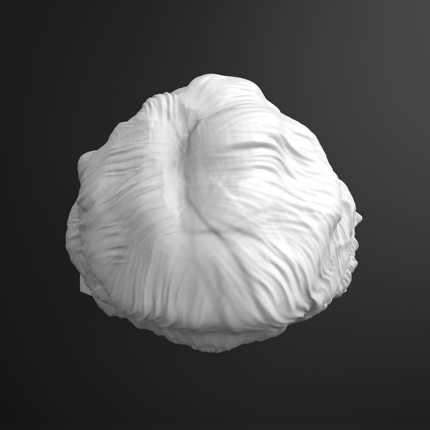 Top of Isaac Newton head bust