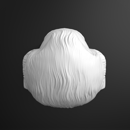 Top of Mozart's head on a black background