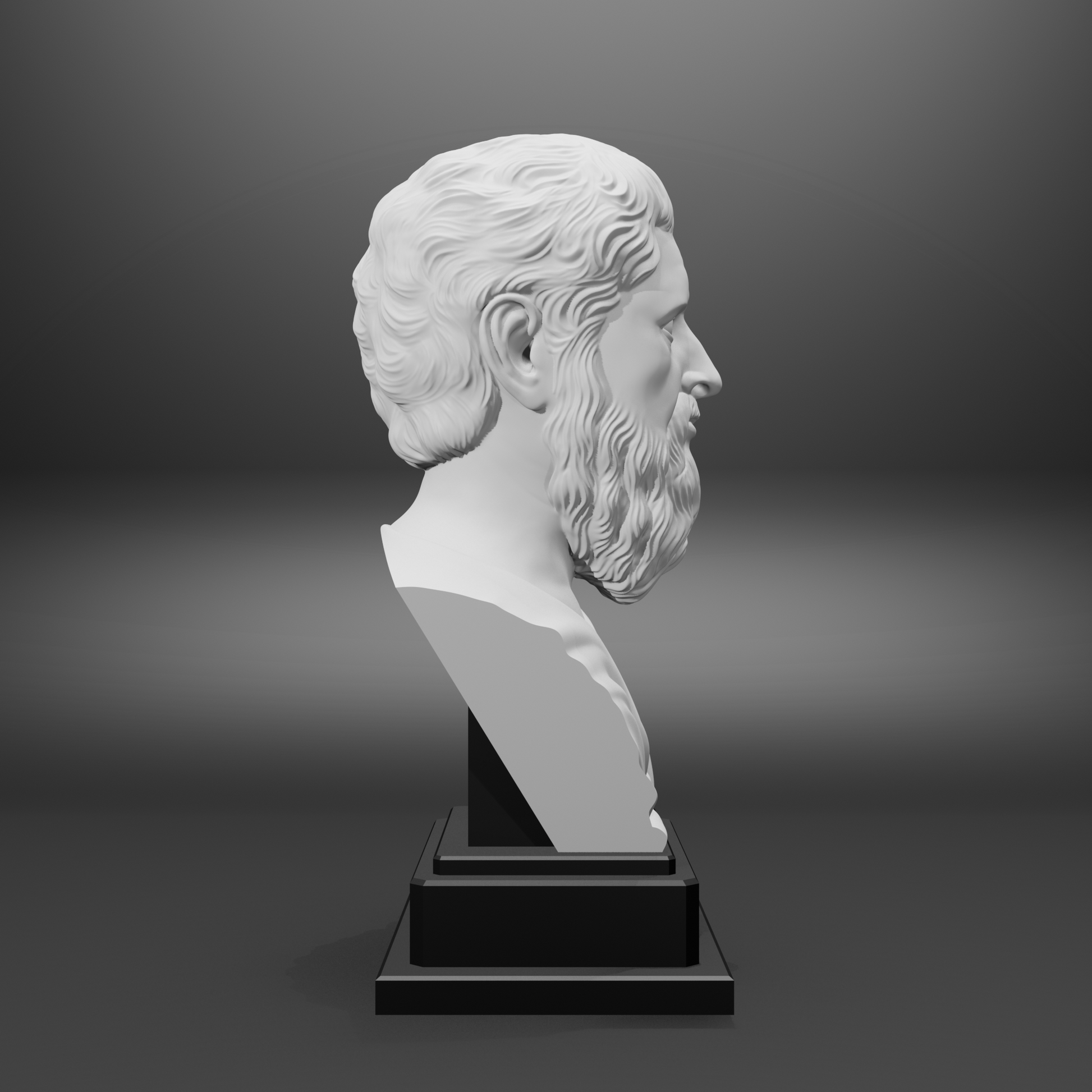 White bust of a classical figure on a black pedestal against a gray background